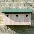 RSPB Sparrow terrace nest box product photo default T