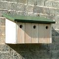 RSPB Sparrow terrace nest box product photo front T