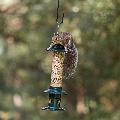 Squirrel Buster Evolution seed feeder product photo default T