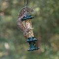 Squirrel Buster Evolution seed feeder product photo back T