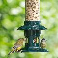 Squirrel Buster Evolution seed feeder product photo front T