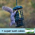 Squirrel Buster suet feeder and suet cakes product photo default T