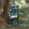 Squirrel Buster suet feeder product photo side T