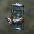 Squirrel Buster suet feeder and suet cakes product photo side T
