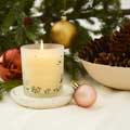 St Eval figgy pudding candle product photo side T
