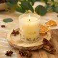 St Eval orange & cinnamon candle product photo default T