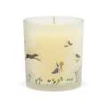 St Eval winter thyme candle product photo front T
