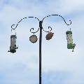 RSPB feeding station for birds product photo default T