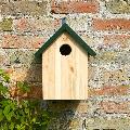 Apex starling nestbox product photo back T