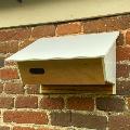 Action for Swifts (AfS) Swift & bat combo nest box product photo front T