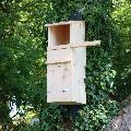 Tawny Owl nest box product photo default T