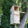 Tawny Owl nest box product photo side T