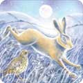Under the moonlight owl and hare Christmas cards, pack of 10 (2 designs) product photo back T