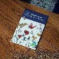 Wildflowers seeds for pots seed pack product photo side T