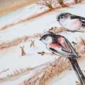 RSPB Winter birds tea towel product photo back T