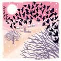 Winter murmuration Christmas cards, pack of 10 product photo default T