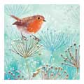 Winter robin Christmas cards, pack of 10 product photo default T