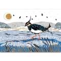 Winter wetlands Christmas cards, pack of 10 (2 designs) product photo back T