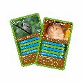 RSPB Woodland animals Top Trumps card game product photo front T