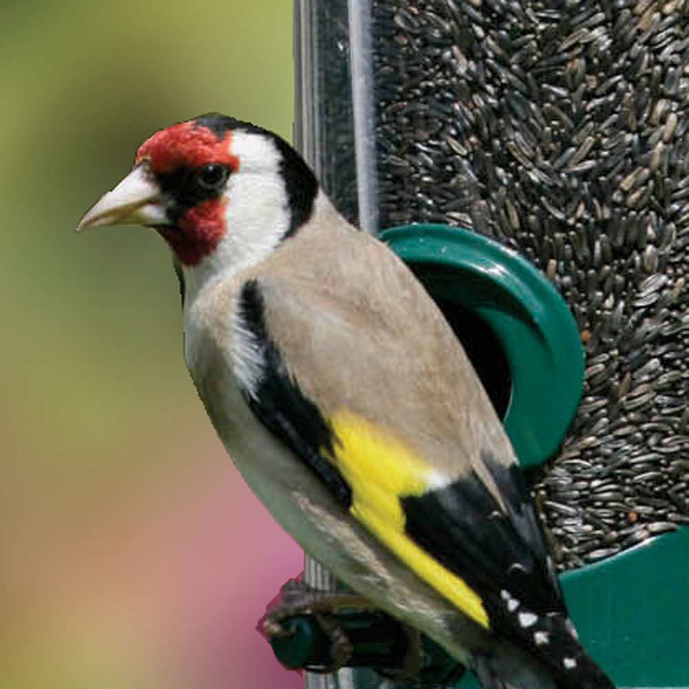 Nyjer seed sack (12.75kg) Bird seed sacks