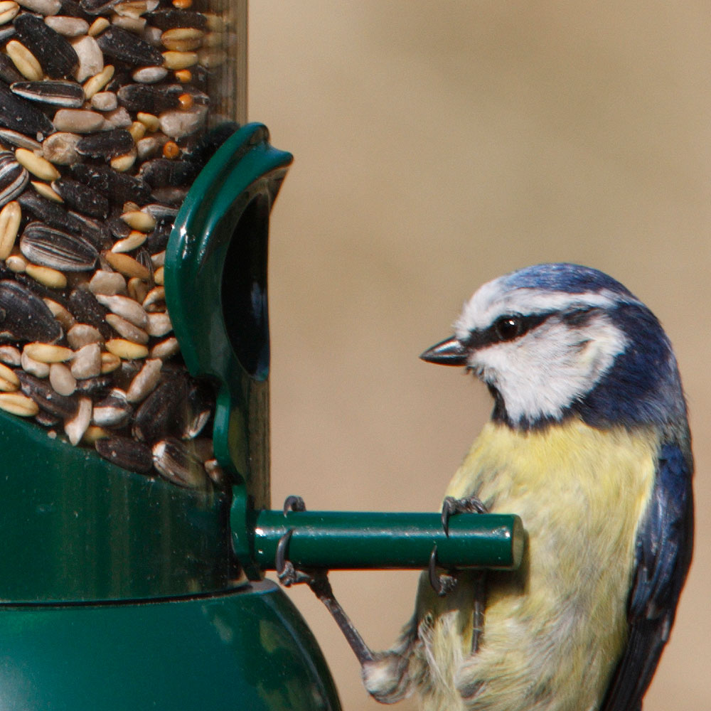 Feeder mix extra bird food sack (12.75kg) Bird seed sacks