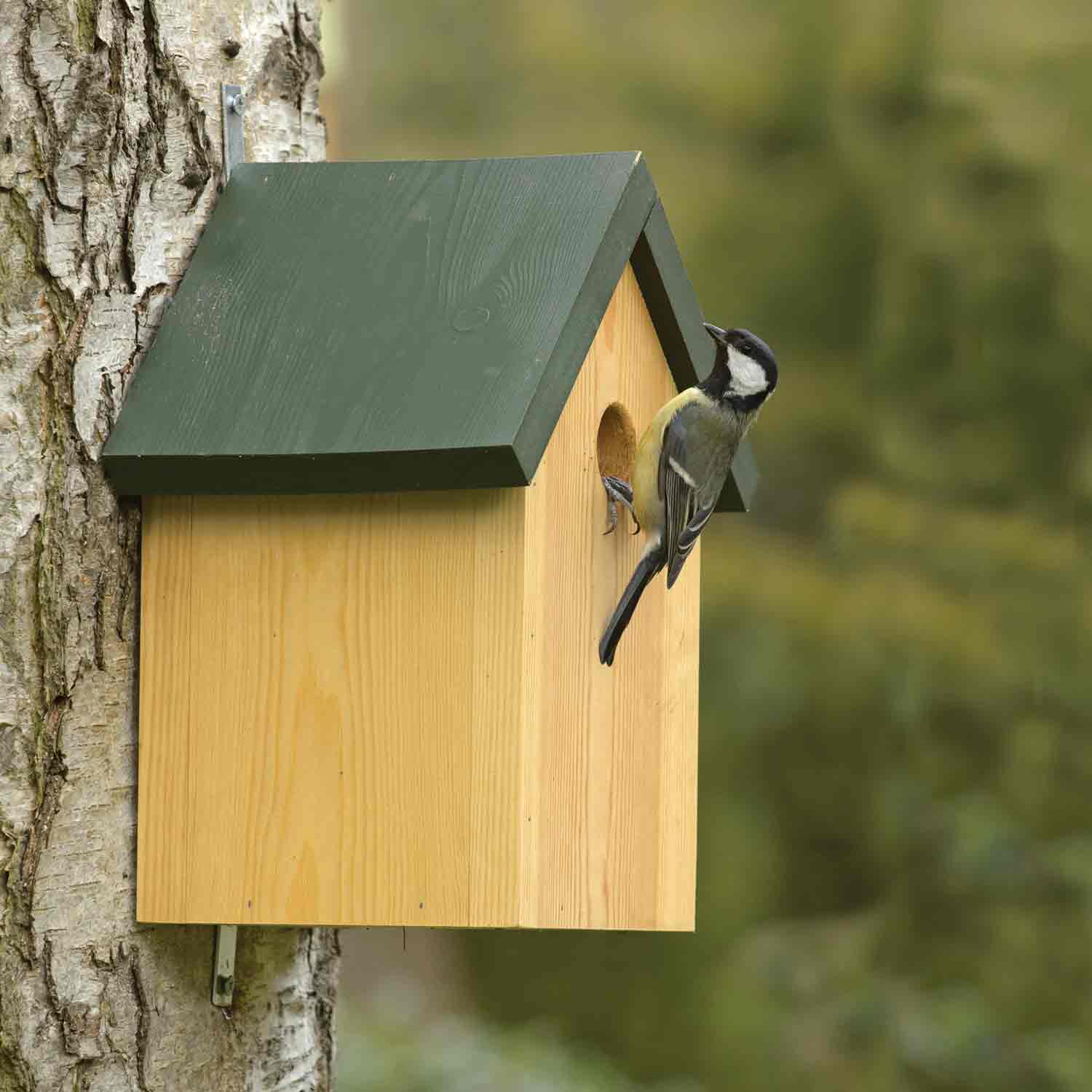 Apex classic nestbox - Garden bird nest boxes