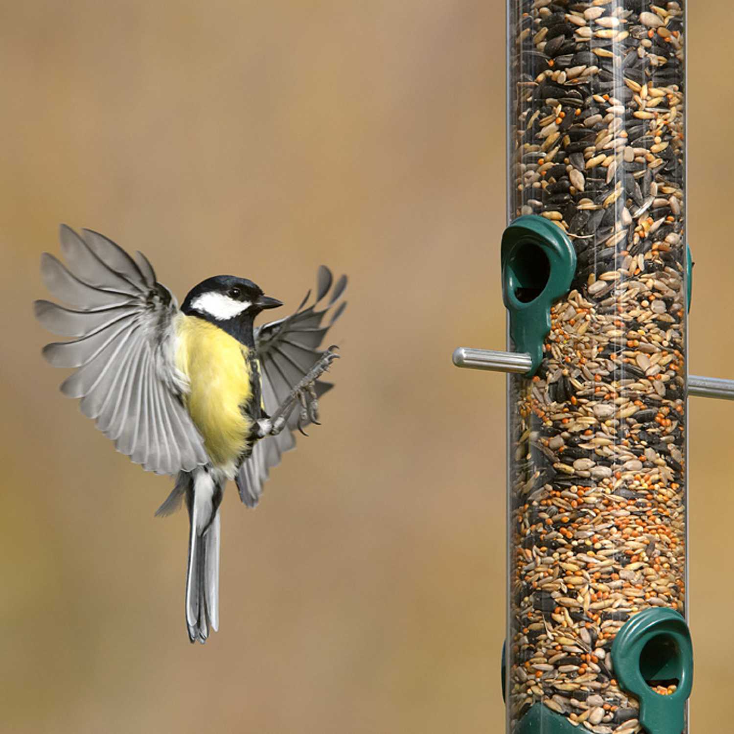 Feeder mix extra bird food sack (12.75kg) Bird seed sacks