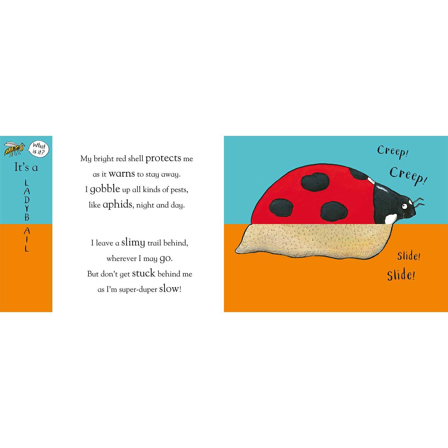 Flip Flap Minibeasts by Axel Scheffler Children's books