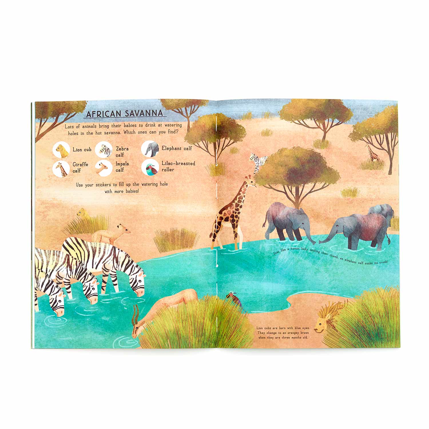 My RSPB Baby Animals sticker activity book Children's books