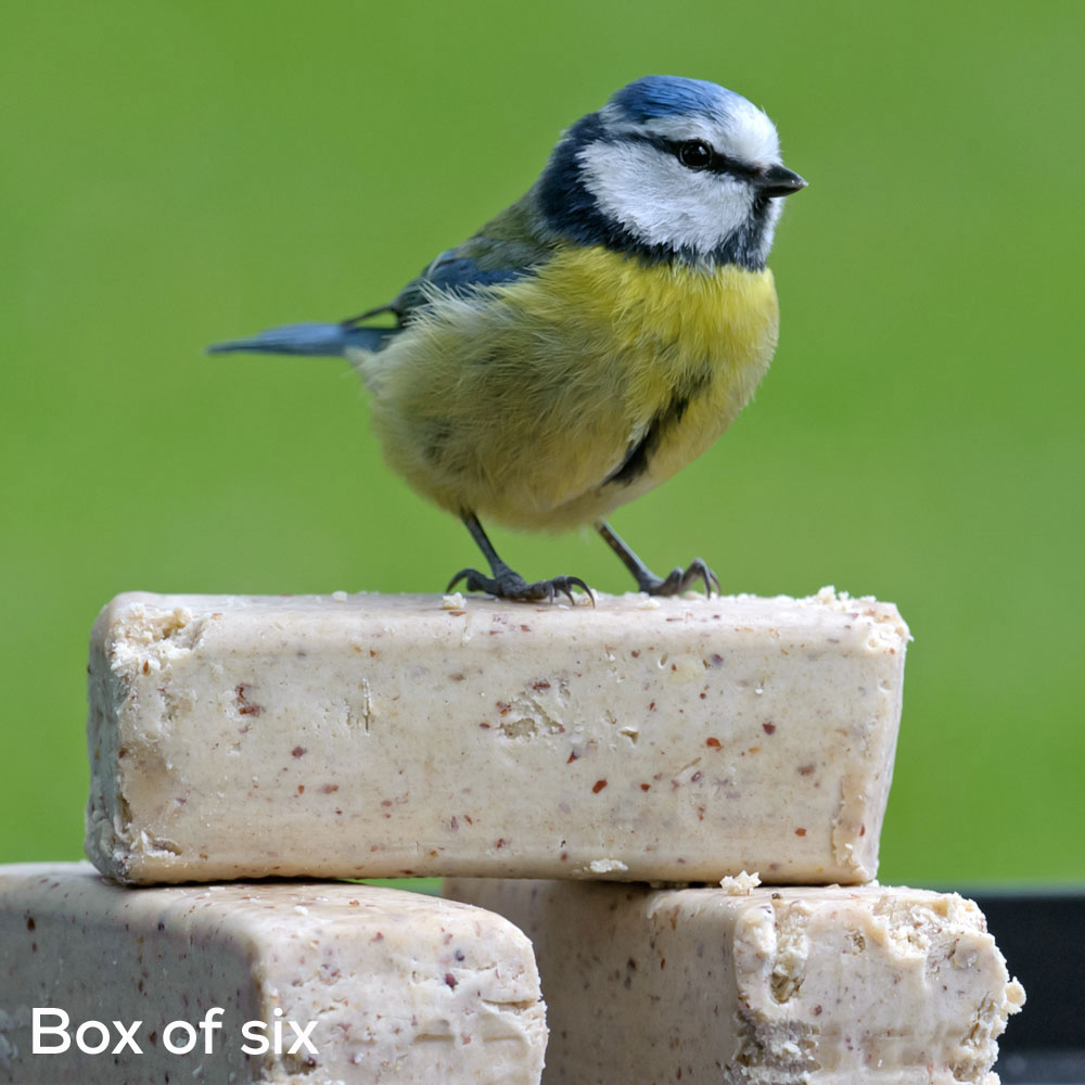 Super suet bars x6 Suet blocks, cakes and bars