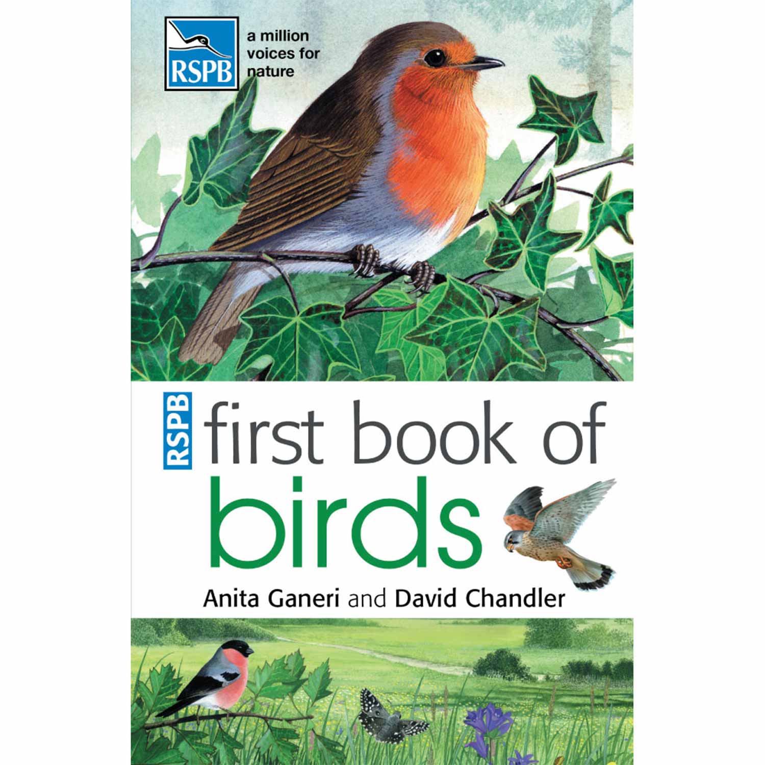 RSPB First Book Of Birds - Children's Books