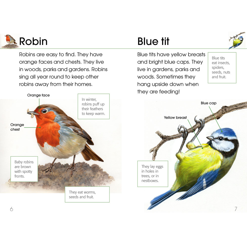 RSPB First book of birds product photo front T