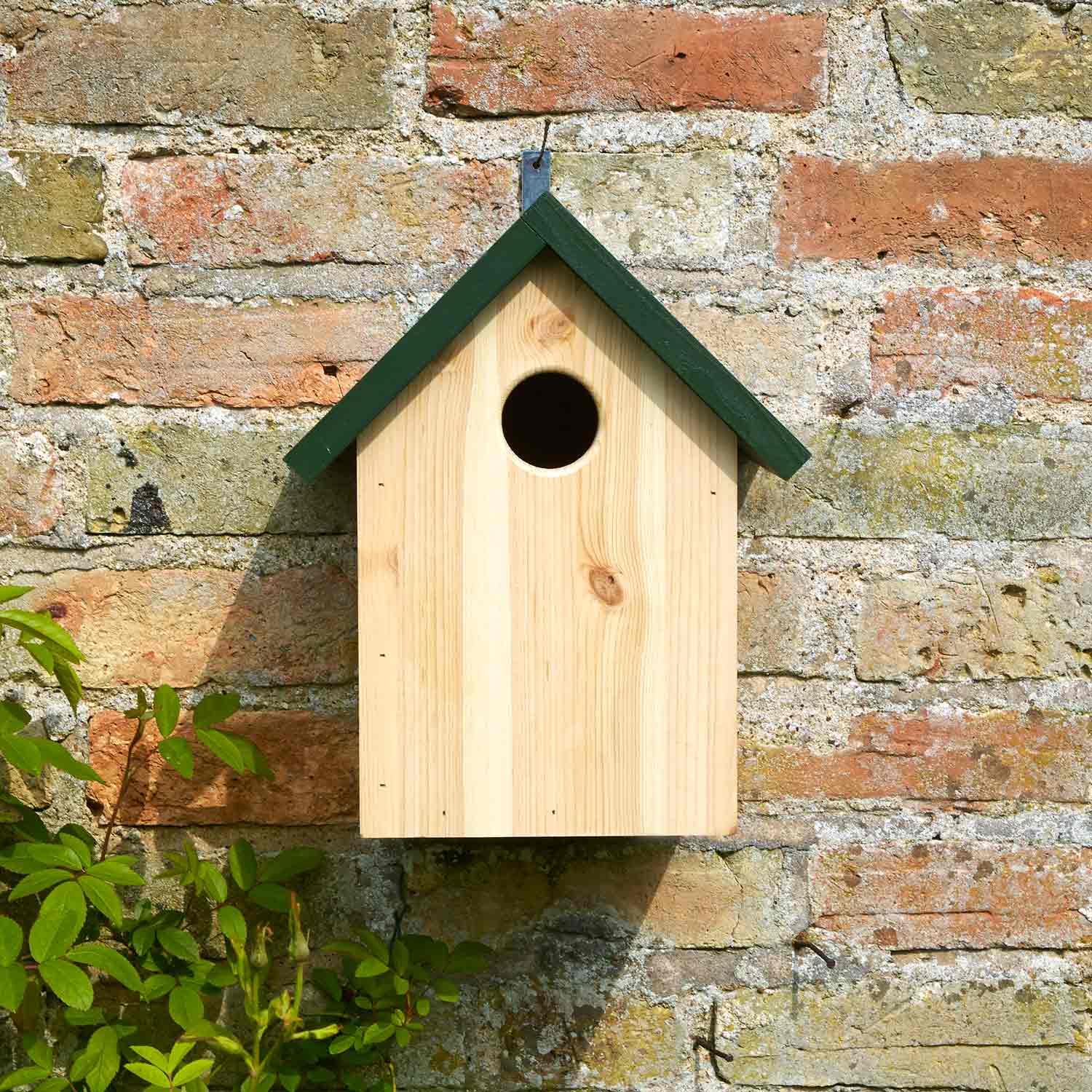 Apex starling nestbox - Garden bird nest boxes