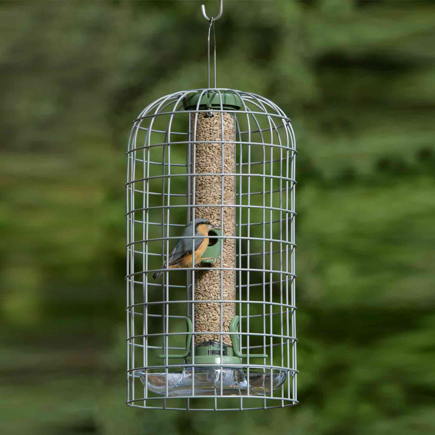 RSPB Ultimate bird feeder guardian, medium Feeder guardians