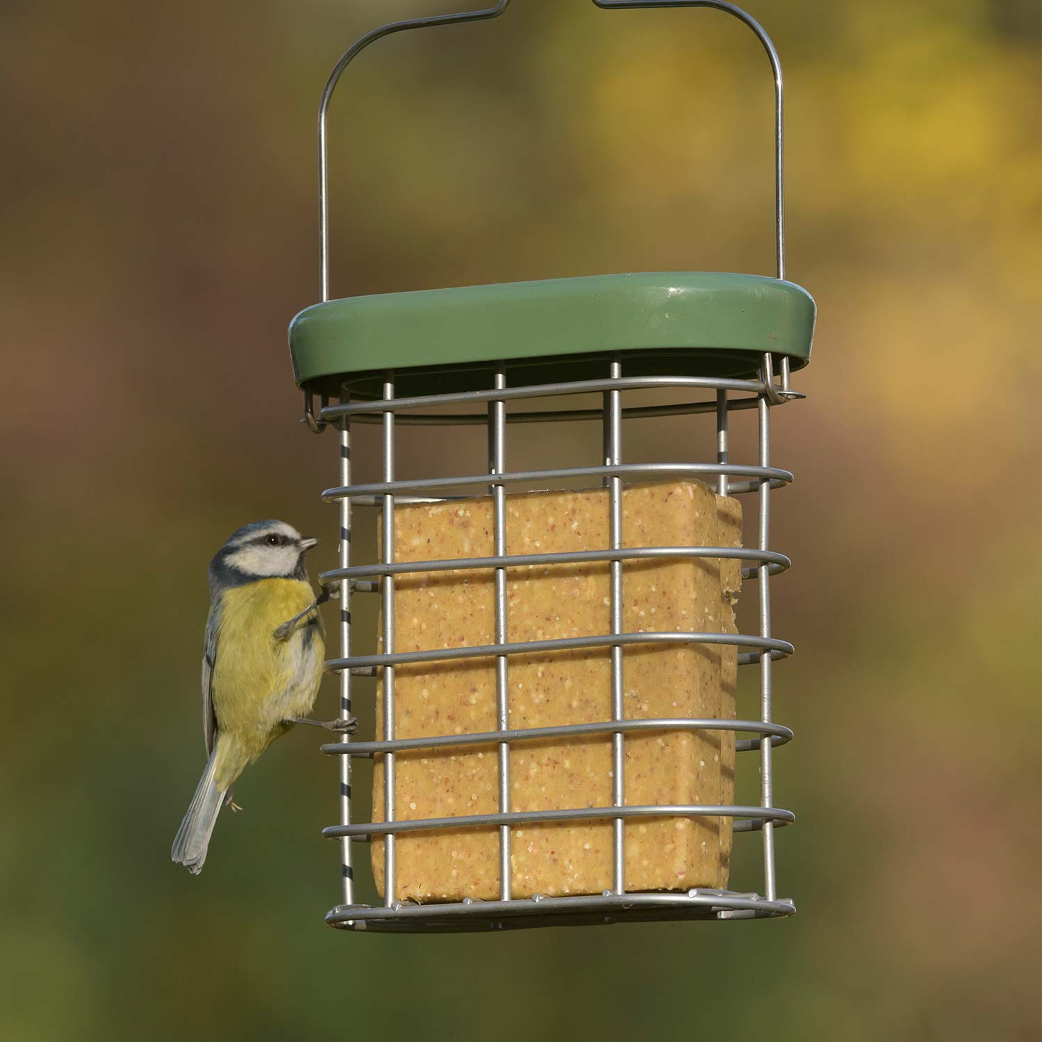 RSPB Vegan suet cakes x10 Suet blocks, cakes and bars