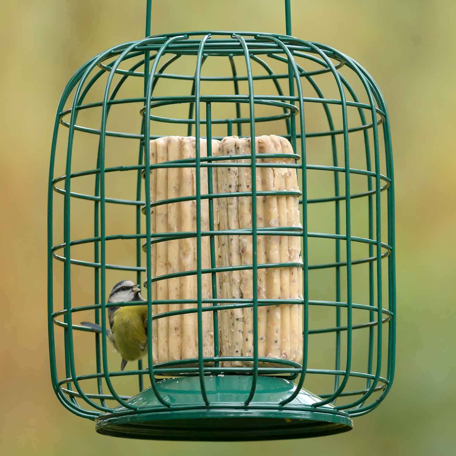 RSPB Super suet logs, multi pack x 4 Suet blocks, cakes and bars